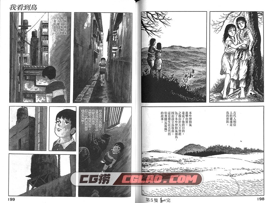 空想鸟类物语 诸星大二郎 全一册 台湾尖端出版社漫画,birds_101.jpg