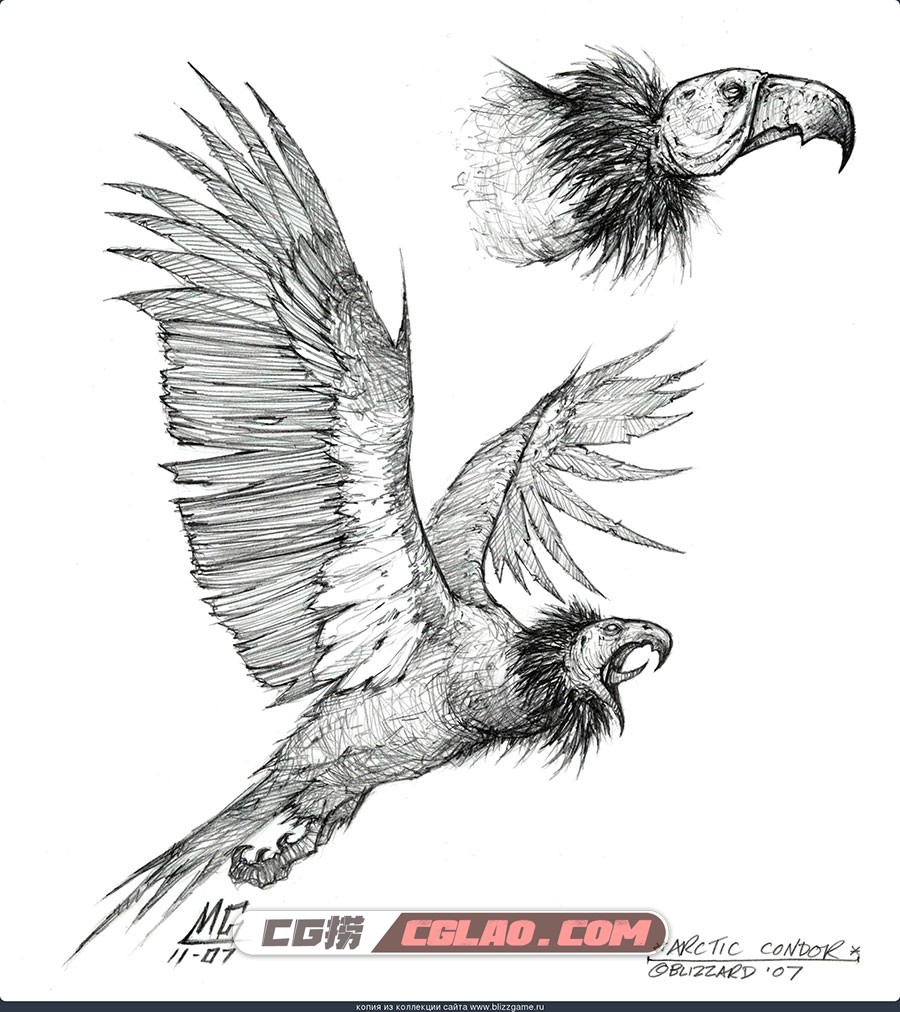 暴雪 游戏角色生物原画设计参考图片合集 网盘下载 9064p,Arctic-Condor.jpg