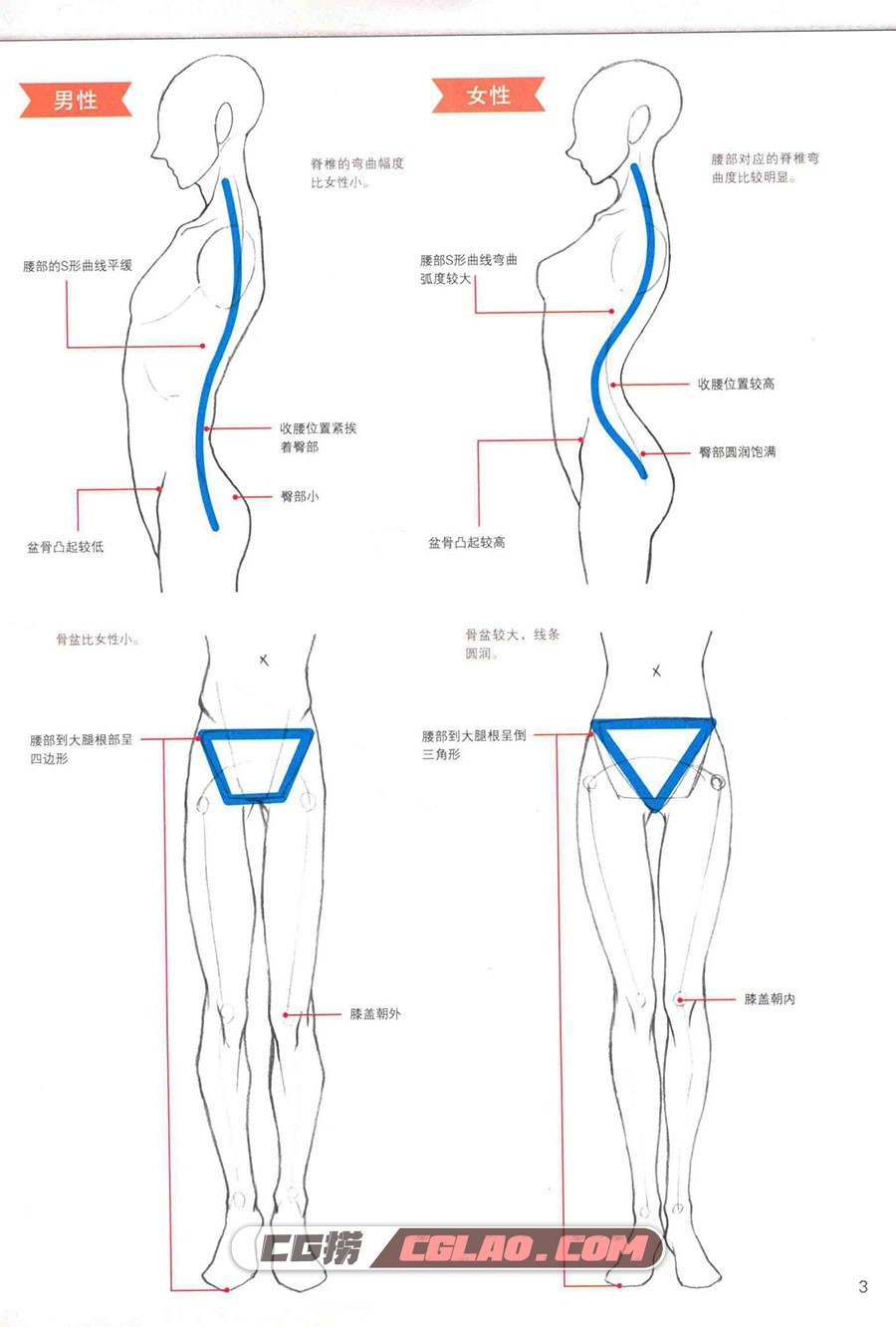 漫画初学者入门教程 男性角色的画法 PDF教程 电子版百度云,漫画初学者入门教程男性角色的画法016.jpg