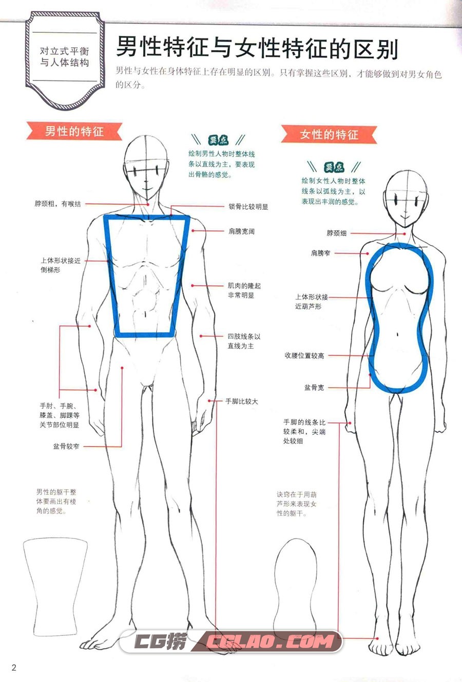 漫画初学者入门教程 男性角色的画法 PDF教程 电子版百度云,漫画初学者入门教程男性角色的画法015.jpg