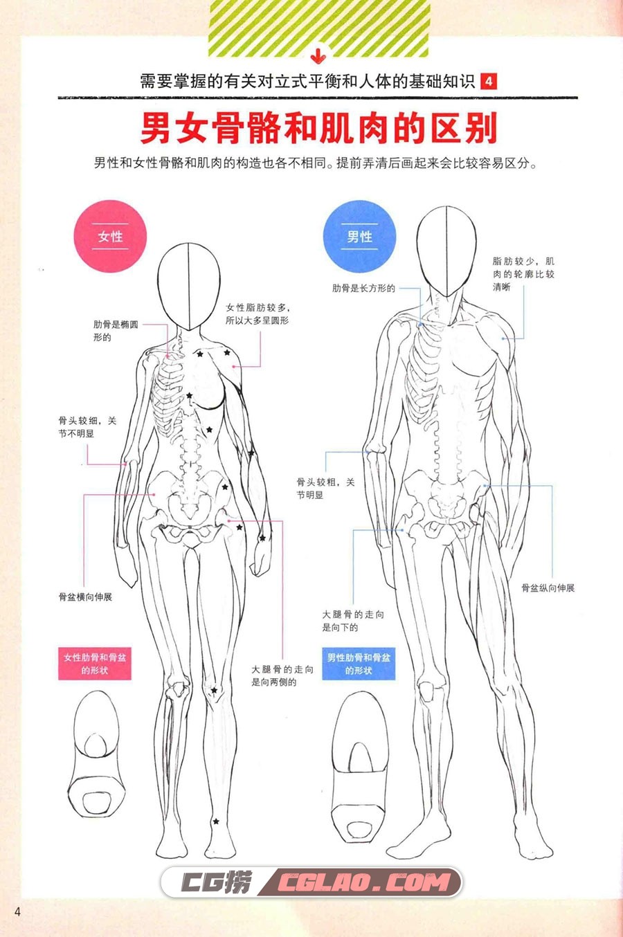 女性角色的画法 漫画初学者入门教程PDF格式 百度网盘下载,漫画初学者入门教程女性角色的画法012.jpg