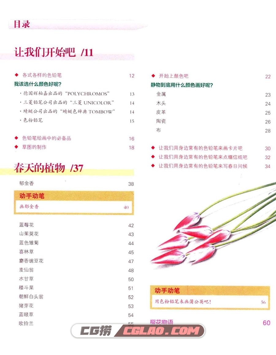 色铅笔的四季手绘：跟着河合瞳画春天彩铅教程 百度网盘PDF,色铅笔的四季手绘跟着河合瞳画春天005.jpg