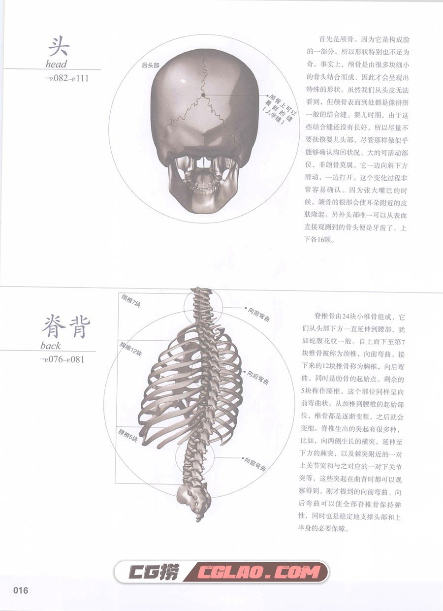 设计师圣经 人体的机理 漫画教程电子版PDF格式 百度网盘,设计师圣经人体的机理022.jpg