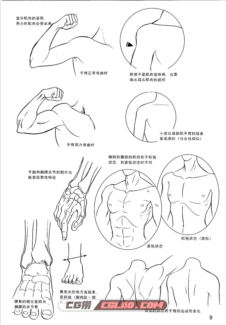 卡通漫画绘画技法：男孩子的画法 百度网盘下载 漫画教程PDF,卡通漫画绘画技法男孩子的画法012.jpg