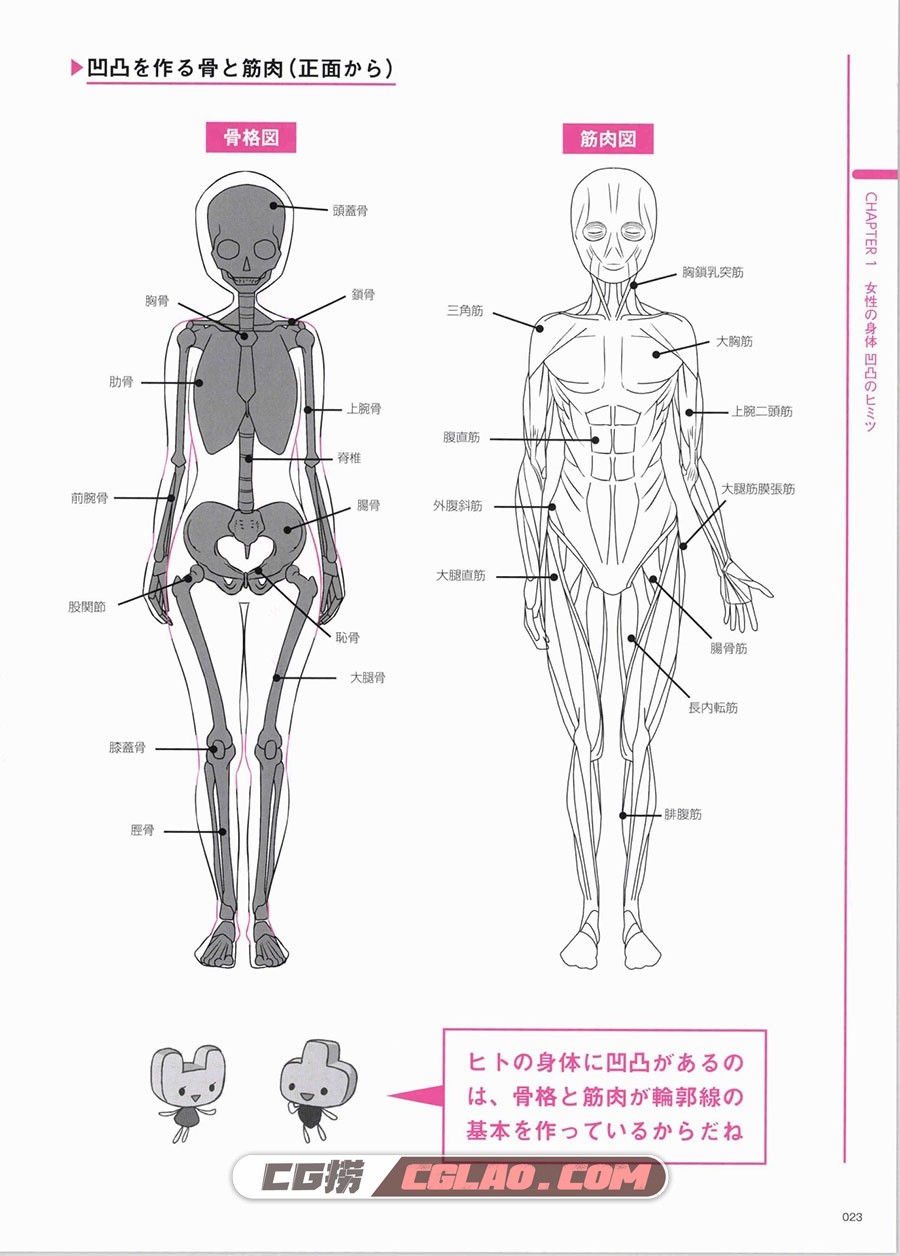 女体的凸凹图鉴 由脂肪和汗毛形成的阴影和曲线 百度网盘PDF,_imgs_0029.jpg