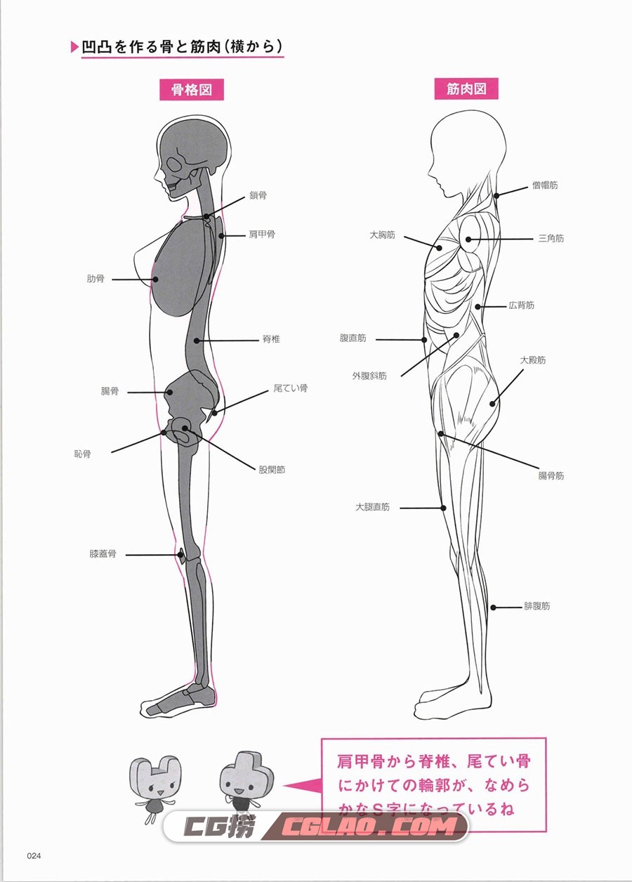 女体的凸凹图鉴 由脂肪和汗毛形成的阴影和曲线 百度网盘PDF,_imgs_0030.jpg