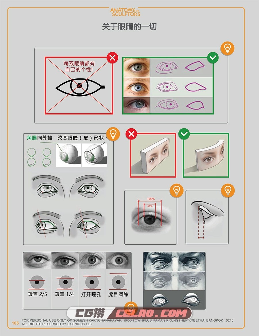 艺用人体结构 雕塑解剖学 电子版教程PDF格式下载 百度网盘,[绘画教程]艺用人体结构-雕塑解剖学-汉化版-105.jpg