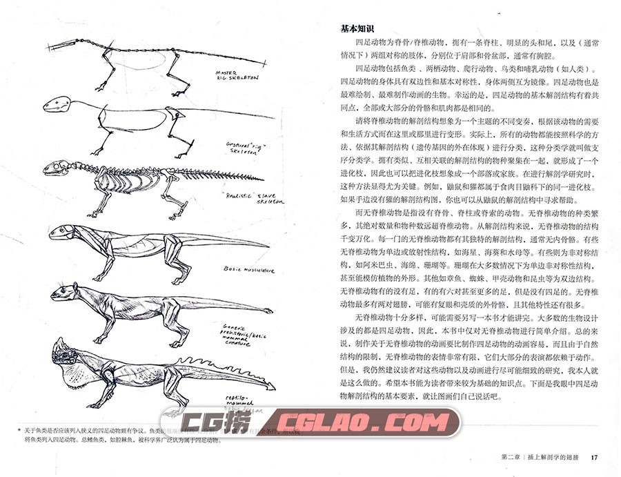 艺用生物解剖 动物画漫画教程电子版PDF格式 百度网盘下载,0021.jpg