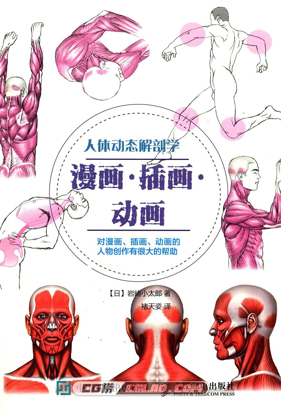 人体动态解剖学 漫画·插画·动画 电子版教程 百度网盘下载PDF,[漫画教程]人体动态解剖学-漫画·插画·动画-1.jpg