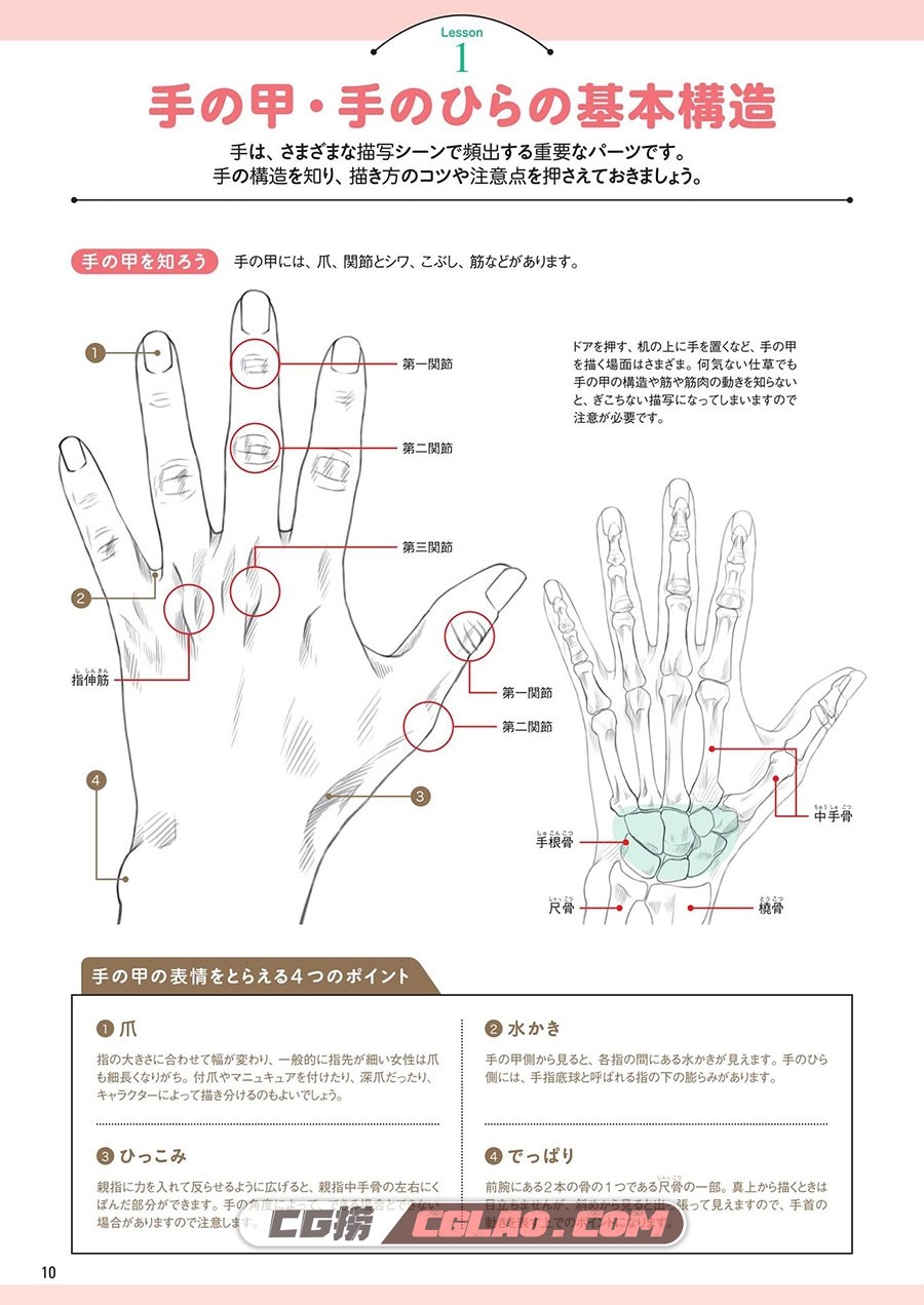 手脚的画法 基础入门画法 漫画教程百度网盘下载 PDF格式,image00059.jpg