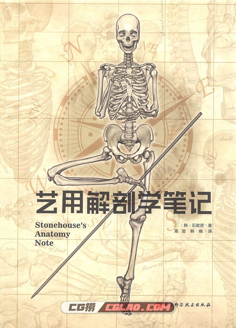 Stonehouse的美术解剖学笔记 中日双版本教程 百度网盘PDF格式,004.jpg