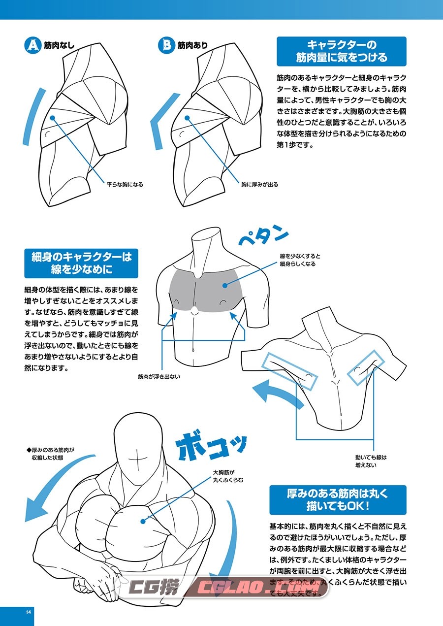 令人着迷的男性肌肉的画法 漫画教程PDF格式下载 百度网盘,014.jpg