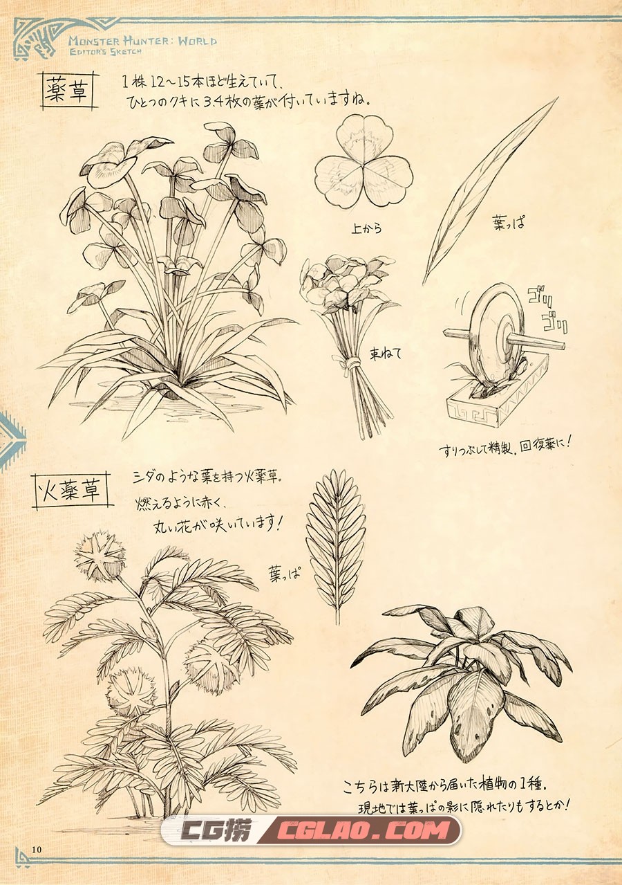 怪物猎人世界 新大陆素描日记 设定资料集百度网盘下载,014.jpg