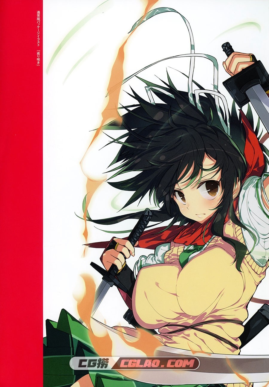 闪乱神乐 Burst Re:Newal 官方插画集 设定资料画集百度网盘下载,005_Senran_Kagura_Burst_Re_Newal_Official_Illustration_Collection_008.jpg