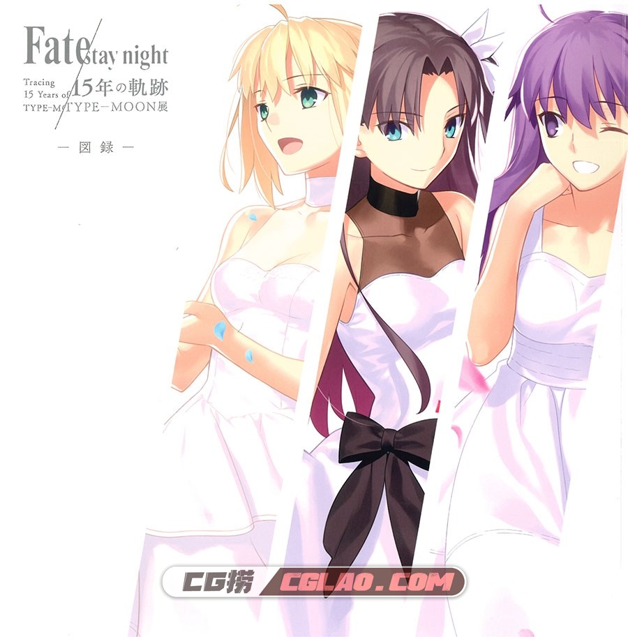 Fate/stay night 15年的轨迹 图录 画集百度网盘下载,001_FATE_0.1.jpg