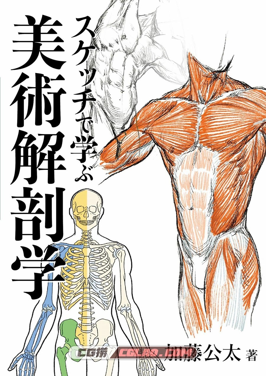 素描中的美术解剖学 漫画教程PDF格式 百度网盘下载,0001.jpg