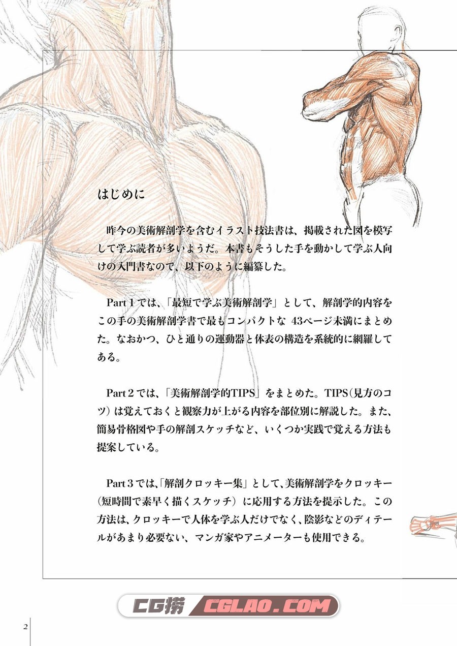 素描中的美术解剖学 漫画教程PDF格式 百度网盘下载,0004.jpg