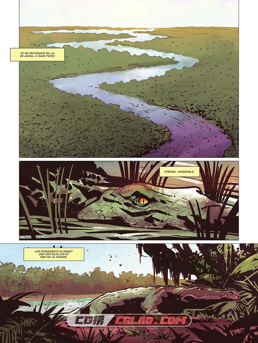 Far Cry Les Larmes D'Esperanza 漫画 百度网盘下载,008.jpg