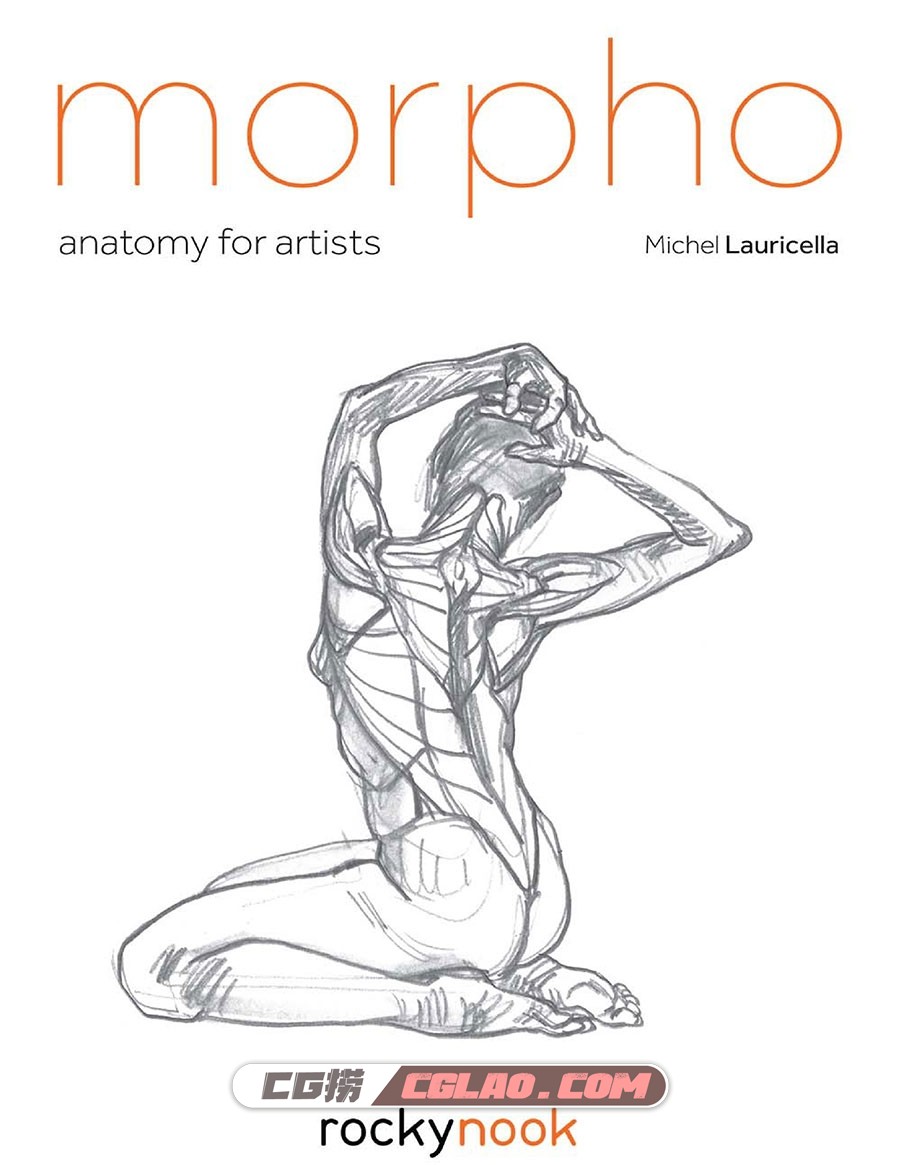 Morpho艺用解剖学系列8册 PDF漫画教程百度网盘下载,001__1.jpg
