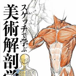 素描中的美术解剖学 漫画教程PDF格式 百度网盘下载